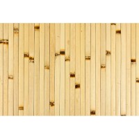 Forever Bamboo 4 x 8 ft. Bamboo Wall Paneling   